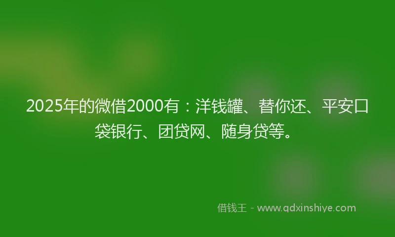 2025年的微借2000有：洋钱罐、替你还、平安口袋银行、团贷网、随身贷等。