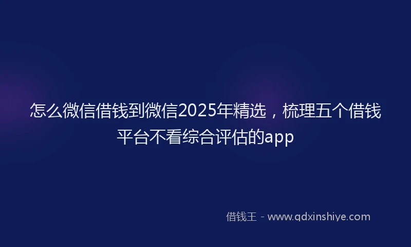 怎么微信借钱到微信2025年精选，梳理五个借钱平台不看综合评估的app