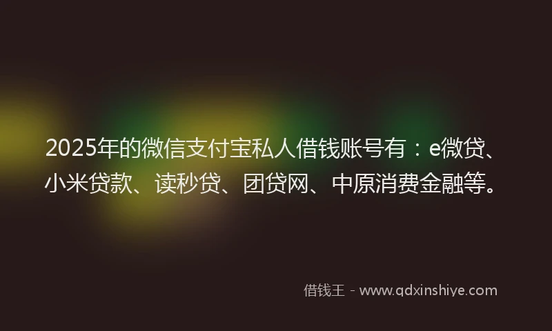 2025年的微信支付宝私人借钱账号有：e微贷、小米贷款、读秒贷、团贷网、中原消费金融等。
