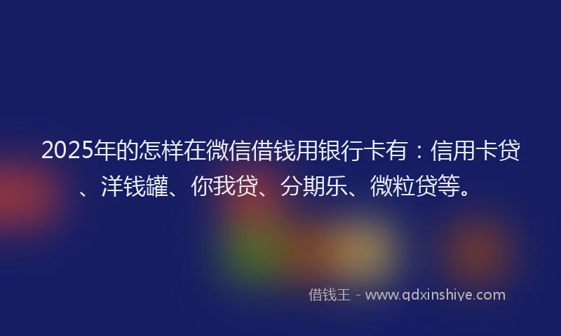 2025年的怎样在微信借钱用银行卡有：信用卡贷、洋钱罐、你我贷、分期乐、微粒贷等。