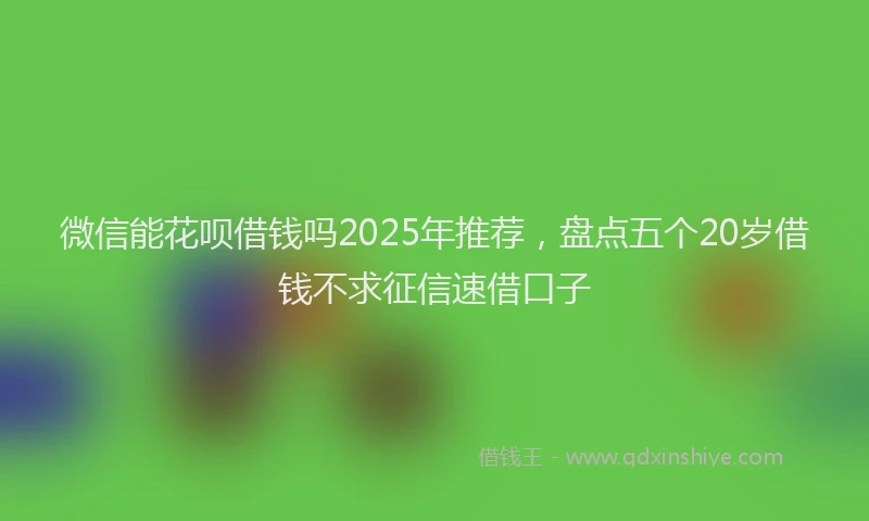 微信能花呗借钱吗2025年推荐，盘点五个20岁借钱不求征信速借口子