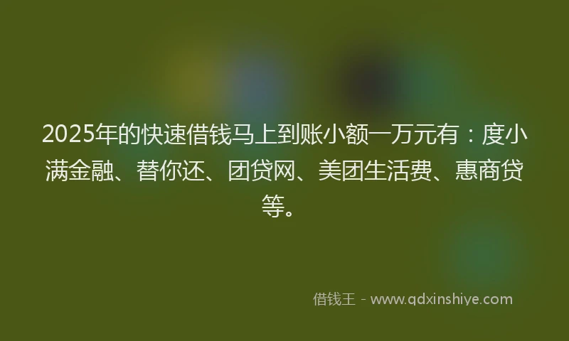 2025年的快速借钱马上到账小额一万元有：度小满金融、替你还、团贷网、美团生活费、惠商贷等。