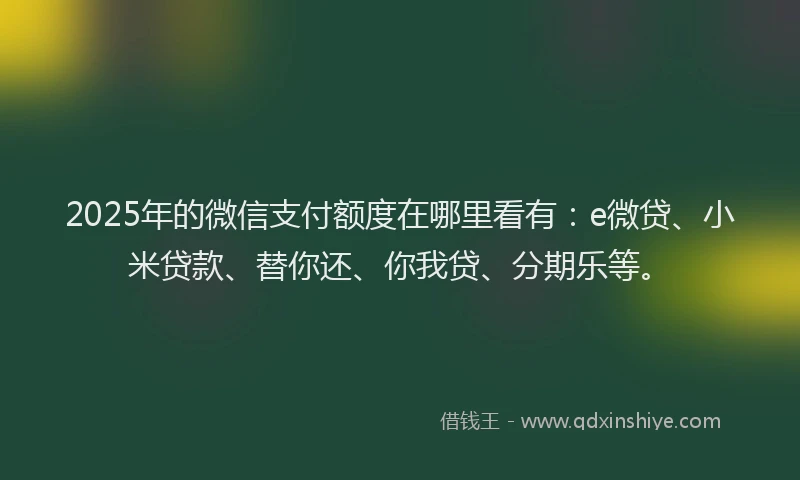 2025年的微信支付额度在哪里看有：e微贷、小米贷款、替你还、你我贷、分期乐等。