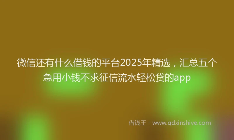 微信还有什么借钱的平台2025年精选，汇总五个急用小钱不求征信流水轻松贷的app
