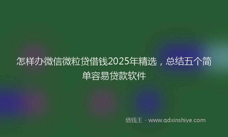 怎样办微信微粒贷借钱2025年精选，总结五个简单容易贷款软件