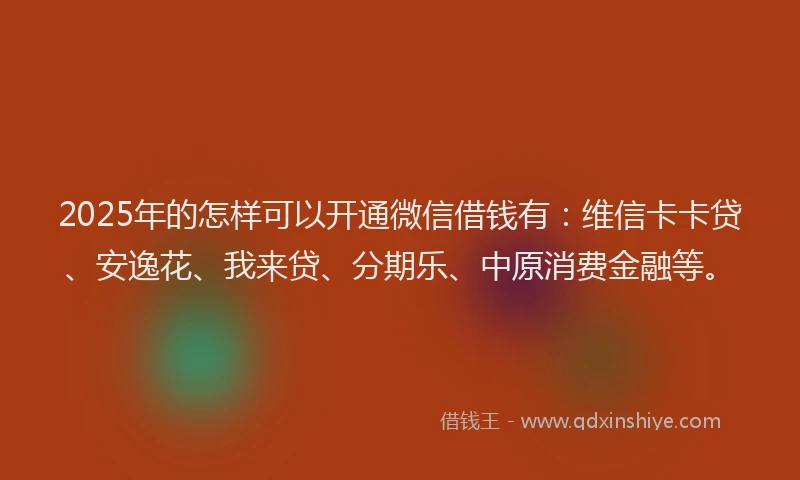 2025年的怎样可以开通微信借钱有：维信卡卡贷、安逸花、我来贷、分期乐、中原消费金融等。