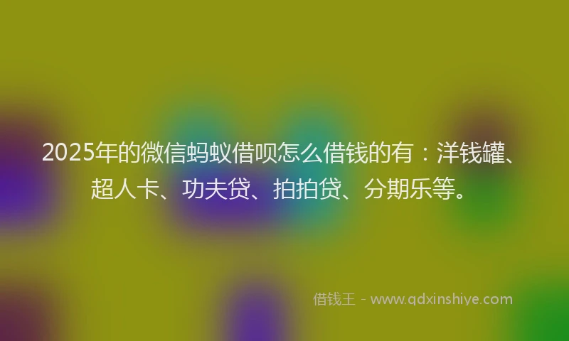2025年的微信蚂蚁借呗怎么借钱的有：洋钱罐、超人卡、功夫贷、拍拍贷、分期乐等。