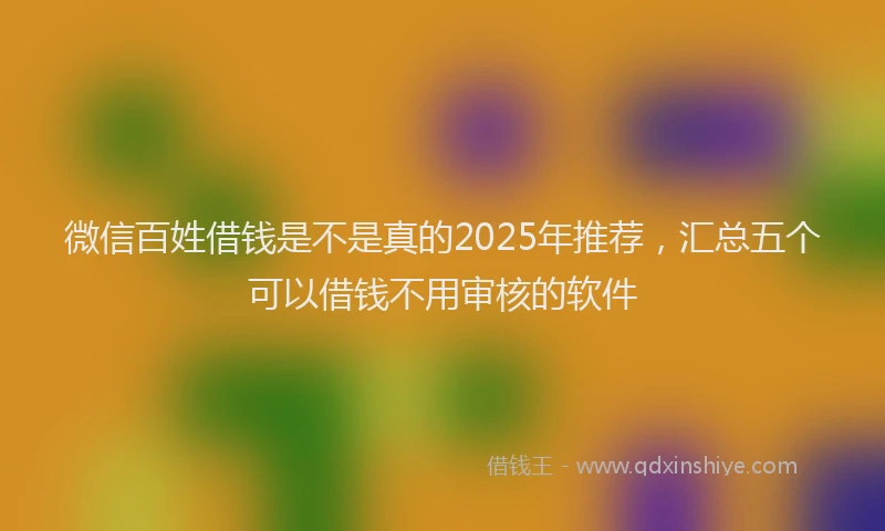 微信百姓借钱是不是真的2025年推荐，汇总五个可以借钱不用审核的软件