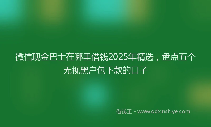微信现金巴士在哪里借钱2025年精选，盘点五个无视黑户包下款的口子