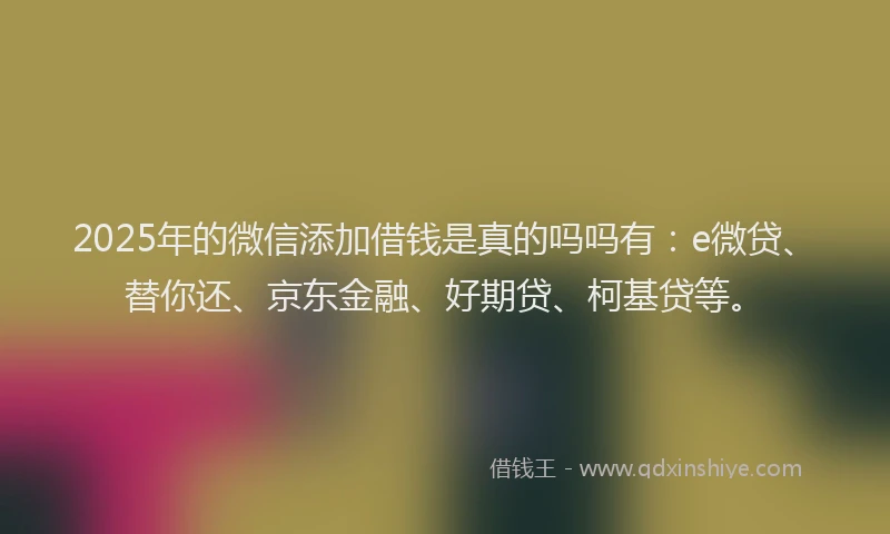 2025年的微信添加借钱是真的吗吗有：e微贷、替你还、京东金融、好期贷、柯基贷等。