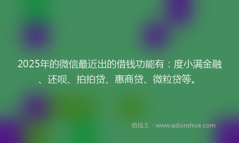 2025年的微信最近出的借钱功能有：度小满金融、还呗、拍拍贷、惠商贷、微粒贷等。