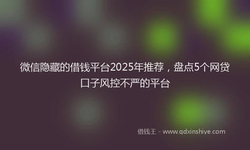 微信隐藏的借钱平台2025年推荐，盘点5个网贷口子风控不严的平台