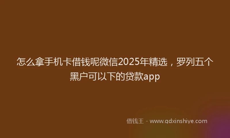 怎么拿手机卡借钱呢微信2025年精选，罗列五个黑户可以下的贷款app