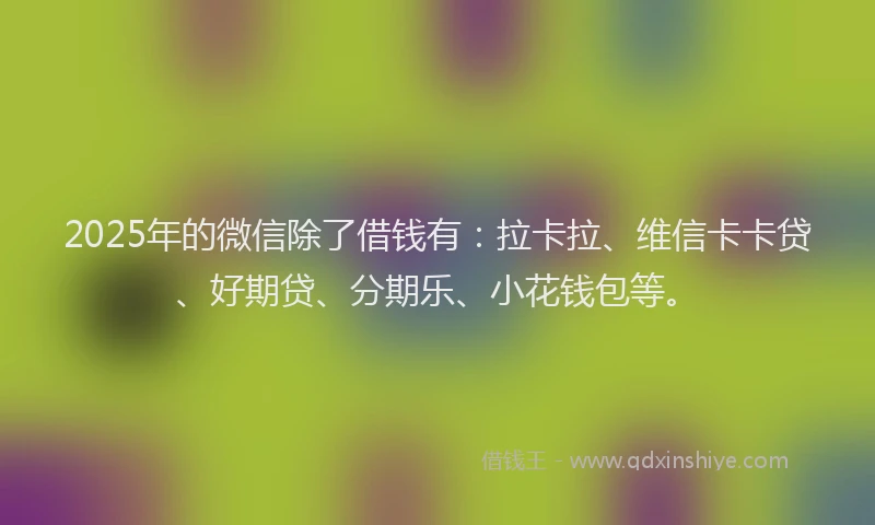 2025年的微信除了借钱有：拉卡拉、维信卡卡贷、好期贷、分期乐、小花钱包等。
