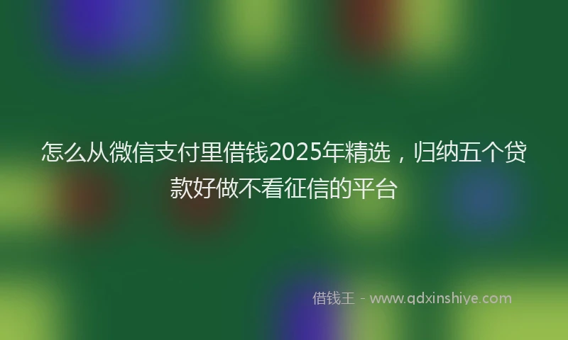 怎么从微信支付里借钱2025年精选，归纳五个贷款好做不看征信的平台