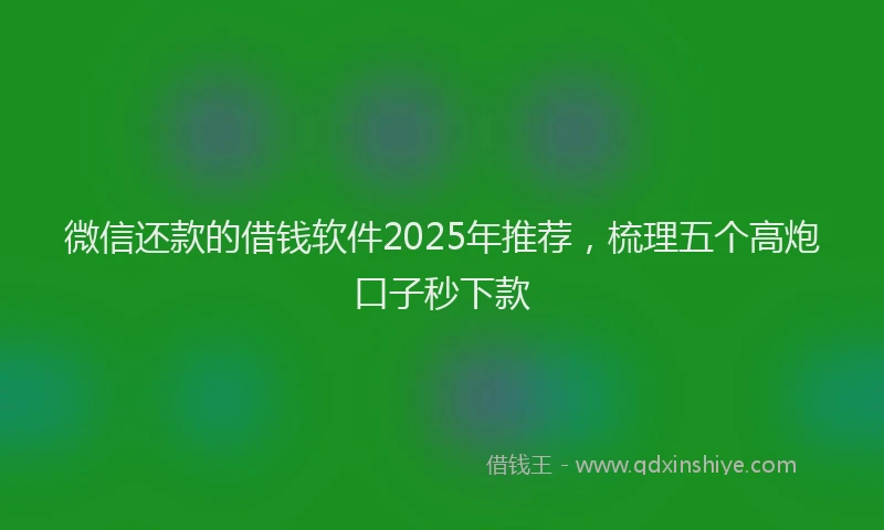 微信还款的借钱软件2025年推荐，梳理五个高炮口子秒下款