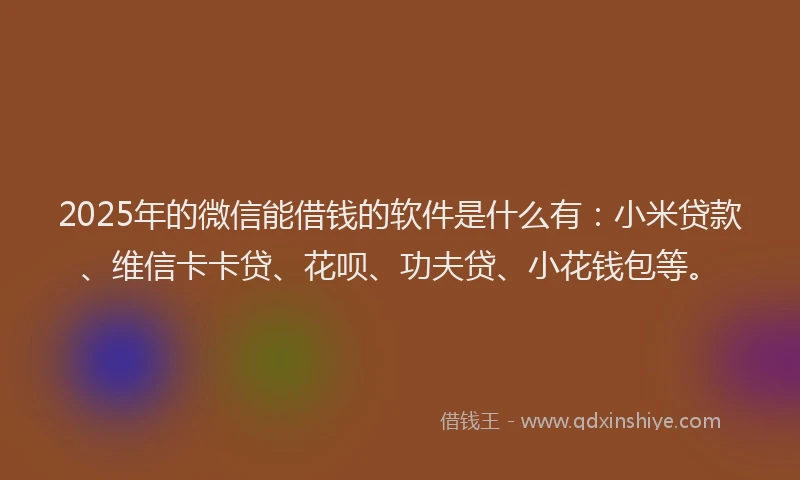 2025年的微信能借钱的软件是什么有：小米贷款、维信卡卡贷、花呗、功夫贷、小花钱包等。