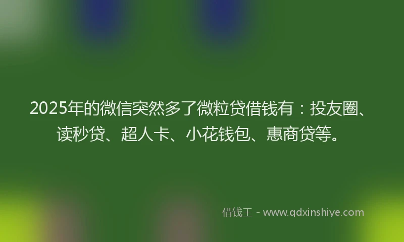 2025年的微信突然多了微粒贷借钱有：投友圈、读秒贷、超人卡、小花钱包、惠商贷等。