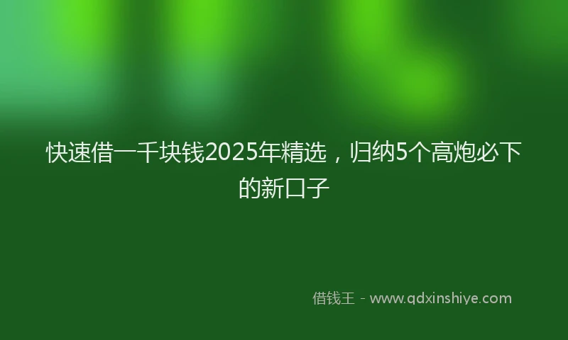 快速借一千块钱2025年精选，归纳5个高炮必下的新口子