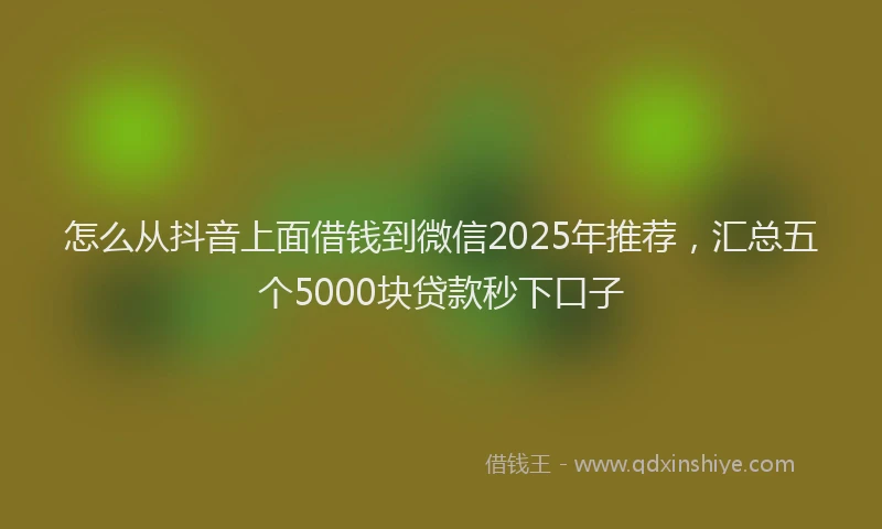 怎么从抖音上面借钱到微信2025年推荐，汇总五个5000块贷款秒下口子