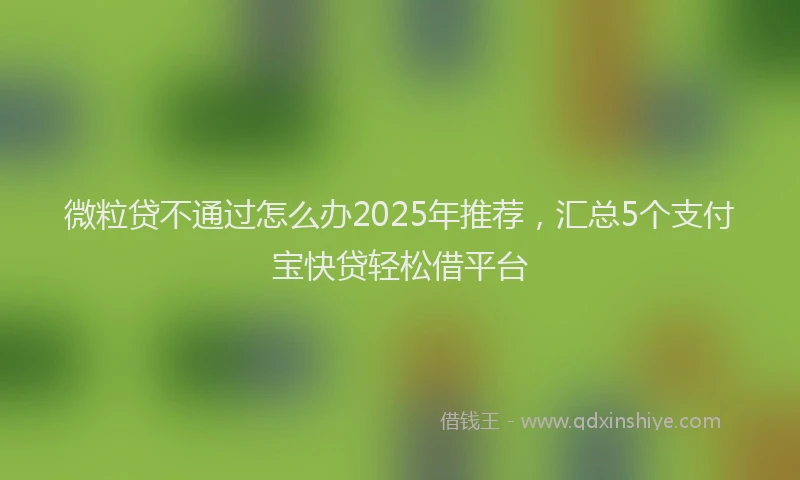 微粒贷不通过怎么办2025年推荐，汇总5个支付宝快贷轻松借平台