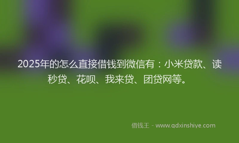 2025年的怎么直接借钱到微信有：小米贷款、读秒贷、花呗、我来贷、团贷网等。