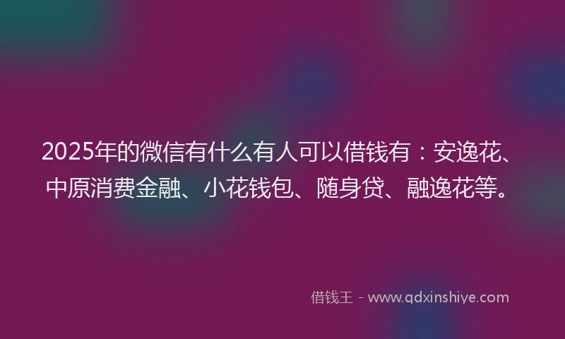 2025年的微信有什么有人可以借钱有：安逸花、中原消费金融、小花钱包、随身贷、融逸花等。