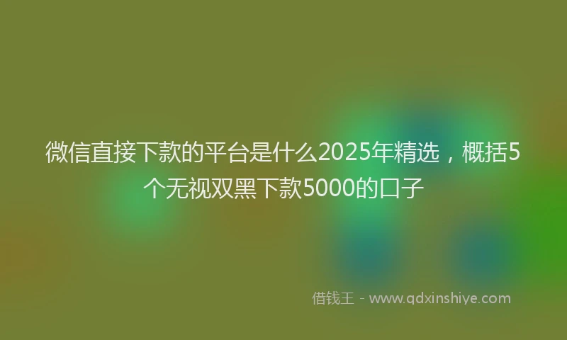 微信直接下款的平台是什么2025年精选，概括5个无视双黑下款5000的口子