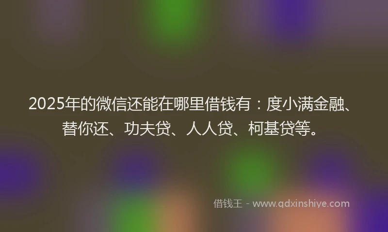 2025年的微信还能在哪里借钱有：度小满金融、替你还、功夫贷、人人贷、柯基贷等。