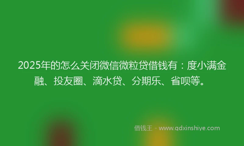 2025年的怎么关闭微信微粒贷借钱有：度小满金融、投友圈、滴水贷、分期乐、省呗等。