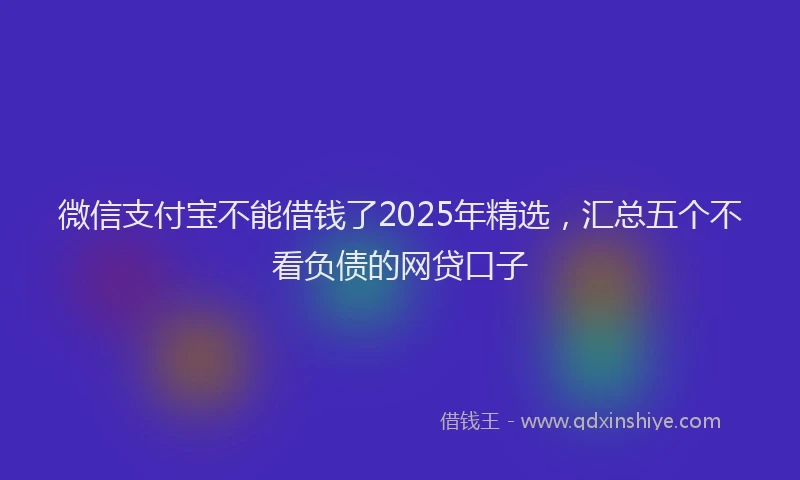 微信支付宝不能借钱了2025年精选，汇总五个不看负债的网贷口子