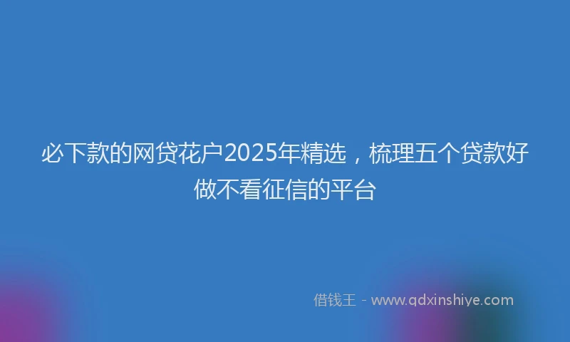 必下款的网贷花户2025年精选，梳理五个贷款好做不看征信的平台