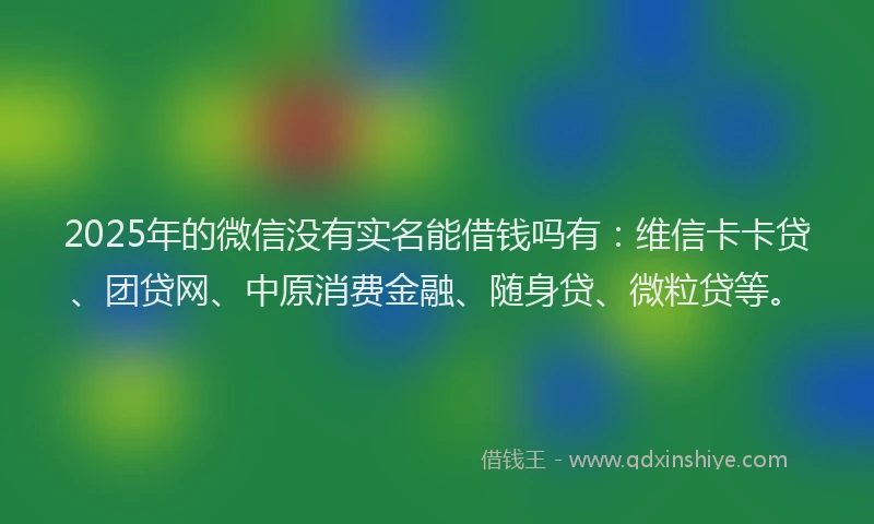 2025年的微信没有实名能借钱吗有：维信卡卡贷、团贷网、中原消费金融、随身贷、微粒贷等。
