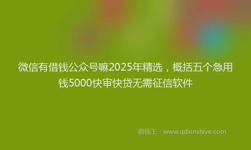 微信有借钱公众号嘛2025年精选，概括五个急用钱5000快审快贷无需征信软件