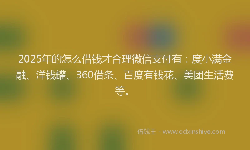 2025年的怎么借钱才合理微信支付有：度小满金融、洋钱罐、360借条、百度有钱花、美团生活费等。