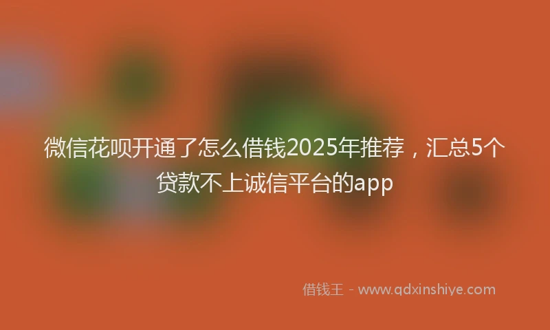 微信花呗开通了怎么借钱2025年推荐，汇总5个贷款不上诚信平台的app