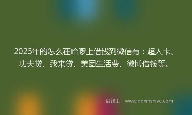 2025年的怎么在哈啰上借钱到微信有：超人卡、功夫贷、我来贷、美团生活费、微博借钱等。