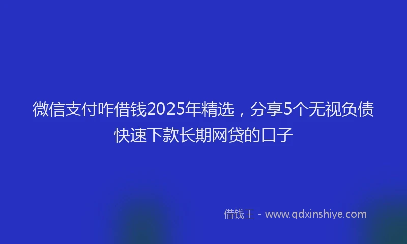 微信支付咋借钱2025年精选，分享5个无视负债快速下款长期网贷的口子