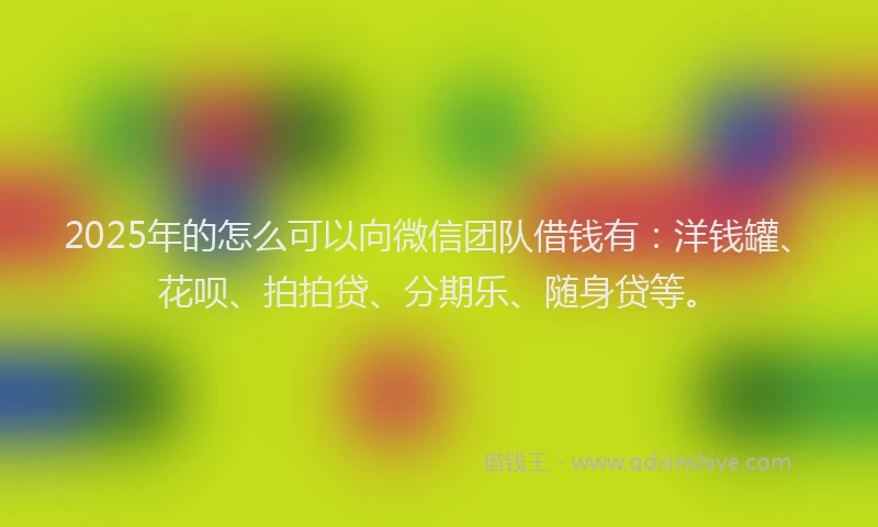 2025年的怎么可以向微信团队借钱有：洋钱罐、花呗、拍拍贷、分期乐、随身贷等。