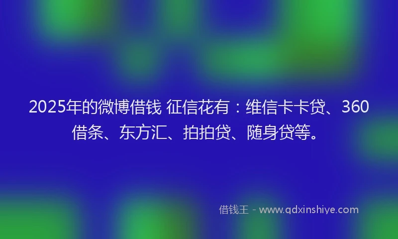 2025年的微博借钱 征信花有：维信卡卡贷、360借条、东方汇、拍拍贷、随身贷等。