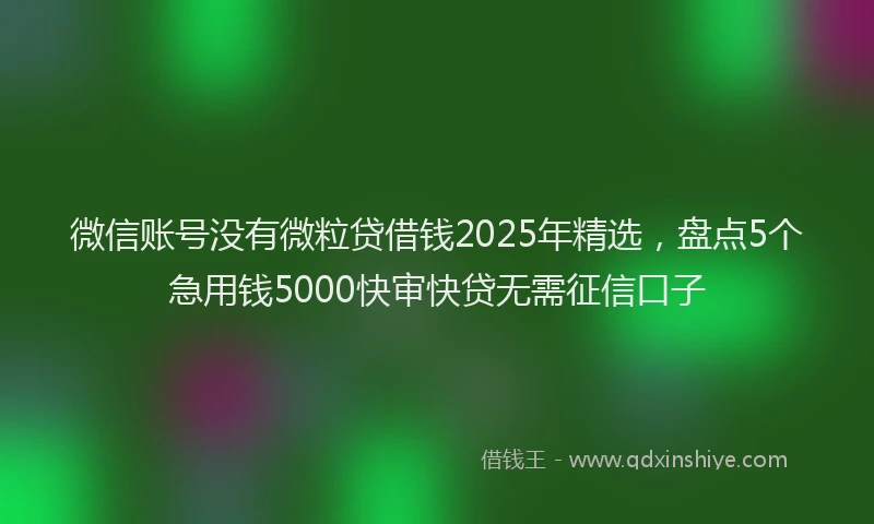 微信账号没有微粒贷借钱2025年精选，盘点5个急用钱5000快审快贷无需征信口子