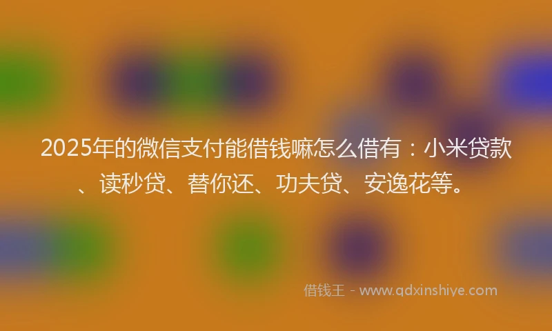 2025年的微信支付能借钱嘛怎么借有：小米贷款、读秒贷、替你还、功夫贷、安逸花等。