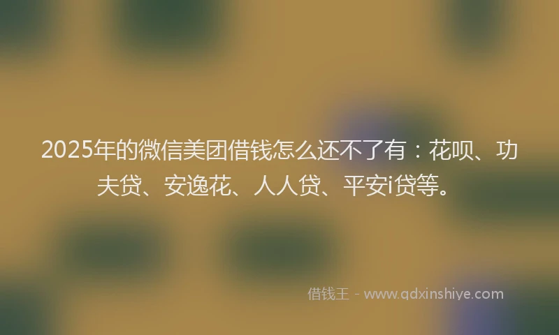 2025年的微信美团借钱怎么还不了有：花呗、功夫贷、安逸花、人人贷、平安i贷等。
