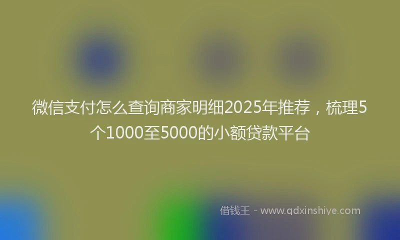 微信支付怎么查询商家明细2025年推荐，梳理5个1000至5000的小额贷款平台