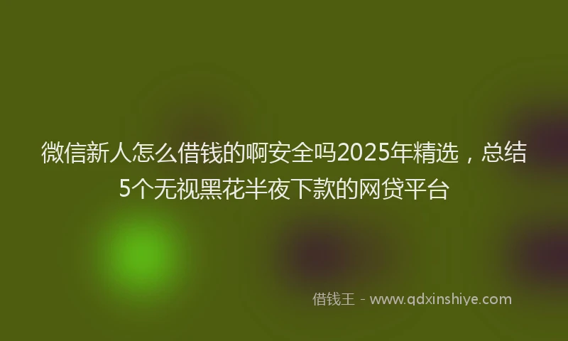 微信新人怎么借钱的啊安全吗2025年精选，总结5个无视黑花半夜下款的网贷平台