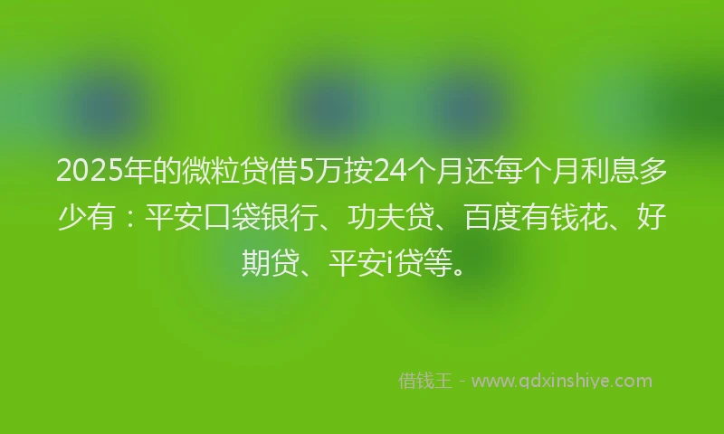 2025年的微粒贷借5万按24个月还每个月利息多少有：平安口袋银行、功夫贷、百度有钱花、好期贷、平安i贷等。