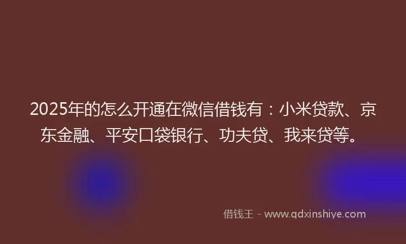 2025年的怎么开通在微信借钱有：小米贷款、京东金融、平安口袋银行、功夫贷、我来贷等。