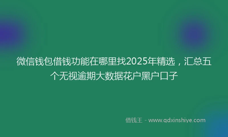 微信钱包借钱功能在哪里找2025年精选，汇总五个无视逾期大数据花户黑户口子