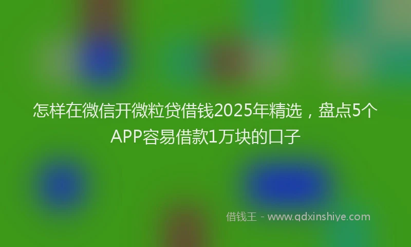 怎样在微信开微粒贷借钱2025年精选，盘点5个APP容易借款1万块的口子