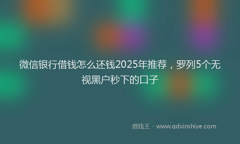 微信银行借钱怎么还钱2025年推荐，罗列5个无视黑户秒下的口子